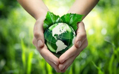 ALIMENTI: IL VEG FA TENDENZA, IN 5 ANNI QUASI TRIPLICATI I PRODOTTI