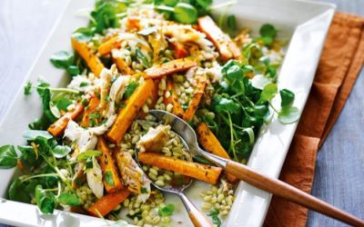 BERKLEY (USA), COMUNE IMPONE PER LEGGE LA DIETA VEGANA IL LUNEDI’