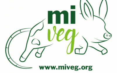 MILANO, ARRIVA IL MIVEG WEEK END DEDICATO ALLA SCELTA VEGANA