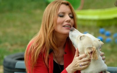 ALIMENTI: MENSA NO ‘VEG’? PDL BRAMBILLA PREVEDE MULTE FINO A 10MILA EURO