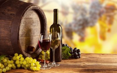 VITICULTURA VEGAN, NEL 2016 +36% RICHIESTE DI CERTIFICAZIONE