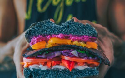 I VEGGIE BURGER SONO SALVI!