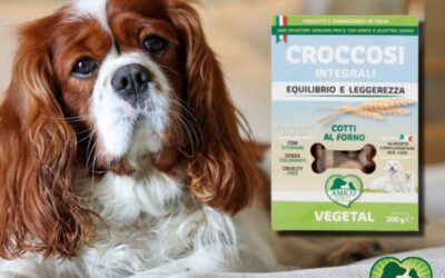 STUDIO, GRANDI BENEFICI AMBIENTALI SE CANI E GATTI DIVENTASSERO “VEGANI”