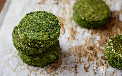 ITALIA, 7 FAMIGLIE SU 10 CONSUMANO ALTERNATIVE VEG A CARNE E LATTE